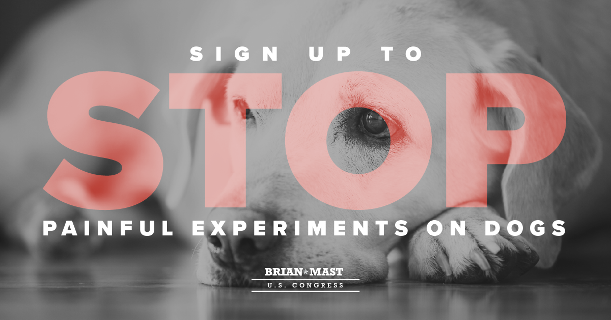 Petition: Stop painful experiments on dogs