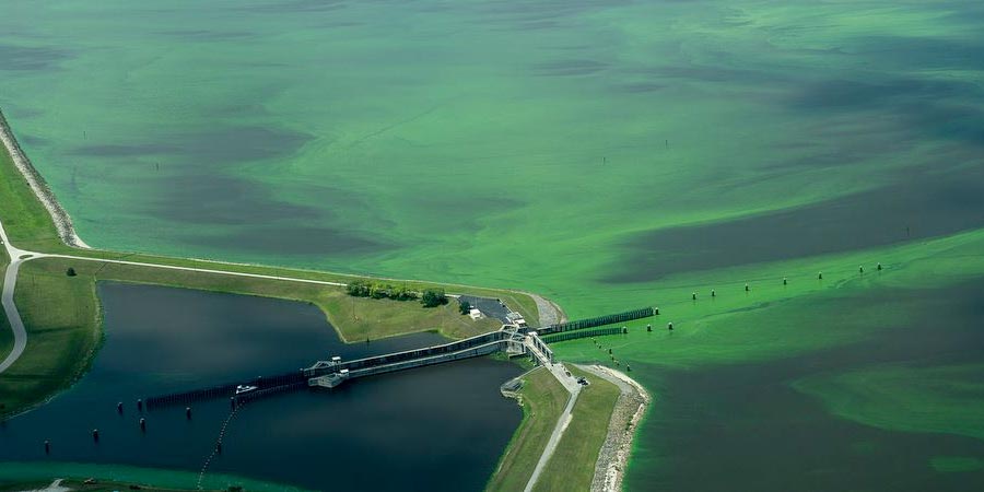 Let’s Talk About It: Lake Okeechobee