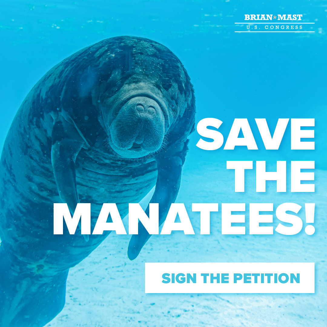 Sign your name to save the manatees!
