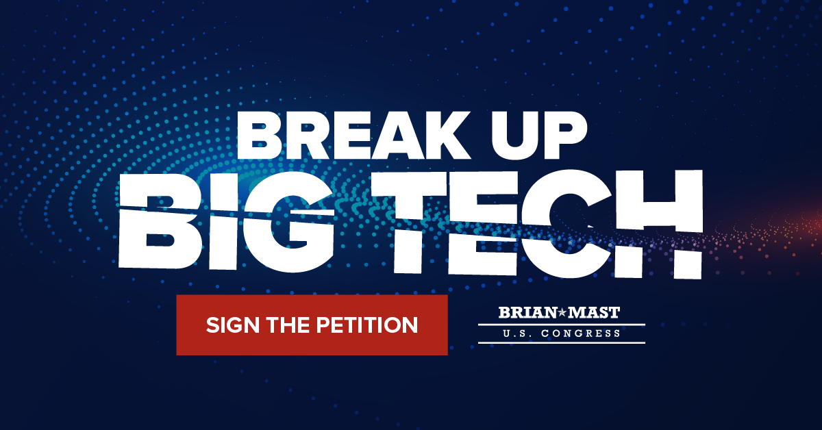 Sign the petition: break up big tech!